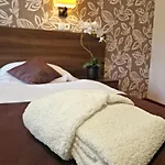 多姆韦博克辛科维斯罗尼斯纳酒店 2*