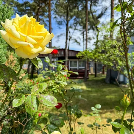 Feriested Sloneczna