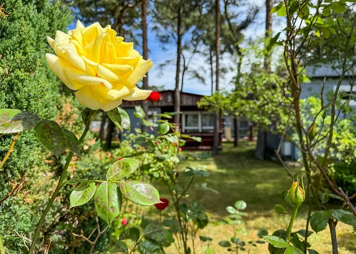 Θέρετρο Sloneczna